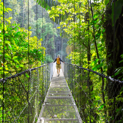 crossing bridge in costa rica